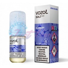 Lichid Vozol SALT 10ml - Blueberry